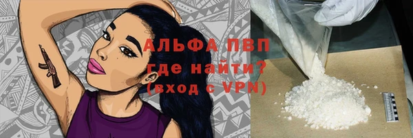 прущие грибы Карпинск
