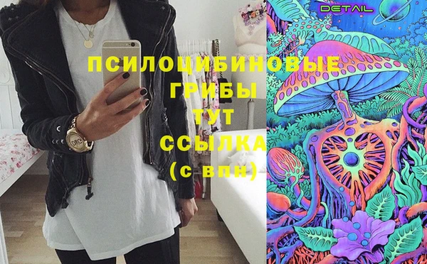 прущие грибы Карпинск
