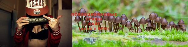 спайс Карталы