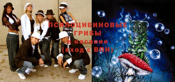 прущие грибы Карпинск