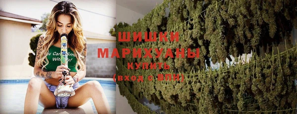 прущие грибы Карпинск