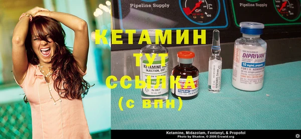 прущие грибы Карпинск
