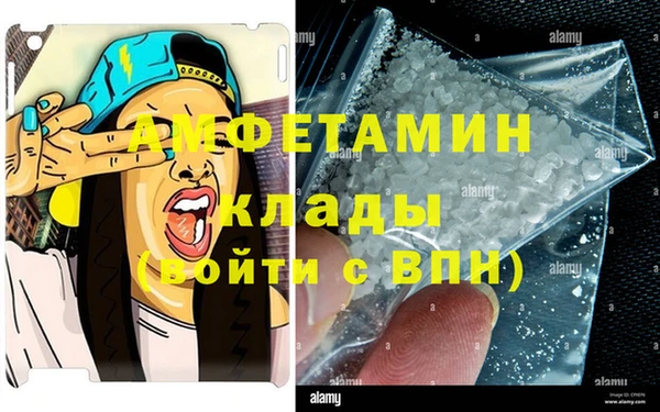 прущие грибы Карпинск