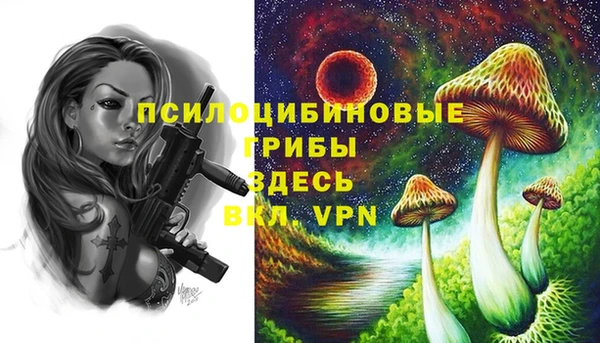 спайс Карталы